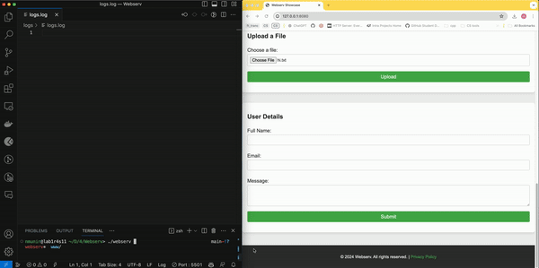 Custom HTTP Server